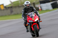 PJ-Motorsport-2019;anglesey-no-limits-trackday;anglesey-photographs;anglesey-trackday-photographs;enduro-digital-images;event-digital-images;eventdigitalimages;no-limits-trackdays;peter-wileman-photography;racing-digital-images;trac-mon;trackday-digital-images;trackday-photos;ty-croes